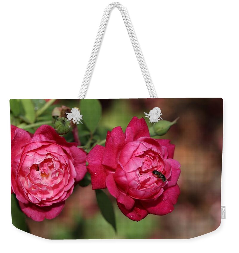 Rose Weekender Tote Bag featuring the photograph Twin Roses by Mingming Jiang