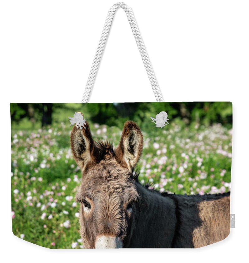 Texas Weekender Tote Bag featuring the photograph Twinkle Toes by KC Hulsman