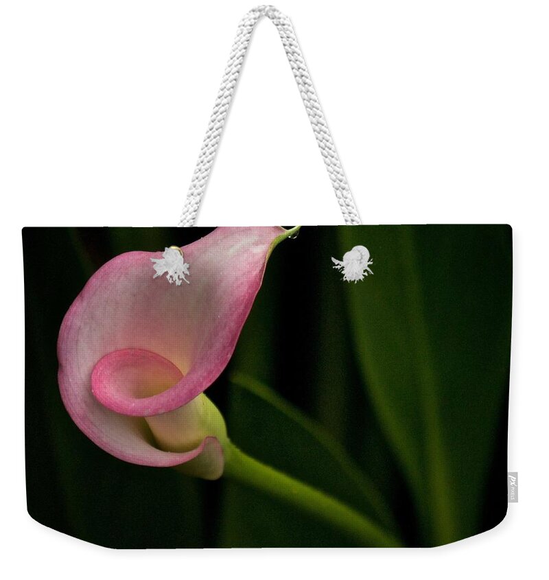 Calla Lily Weekender Tote Bag featuring the photograph Twist and Shout by Richard Cummings