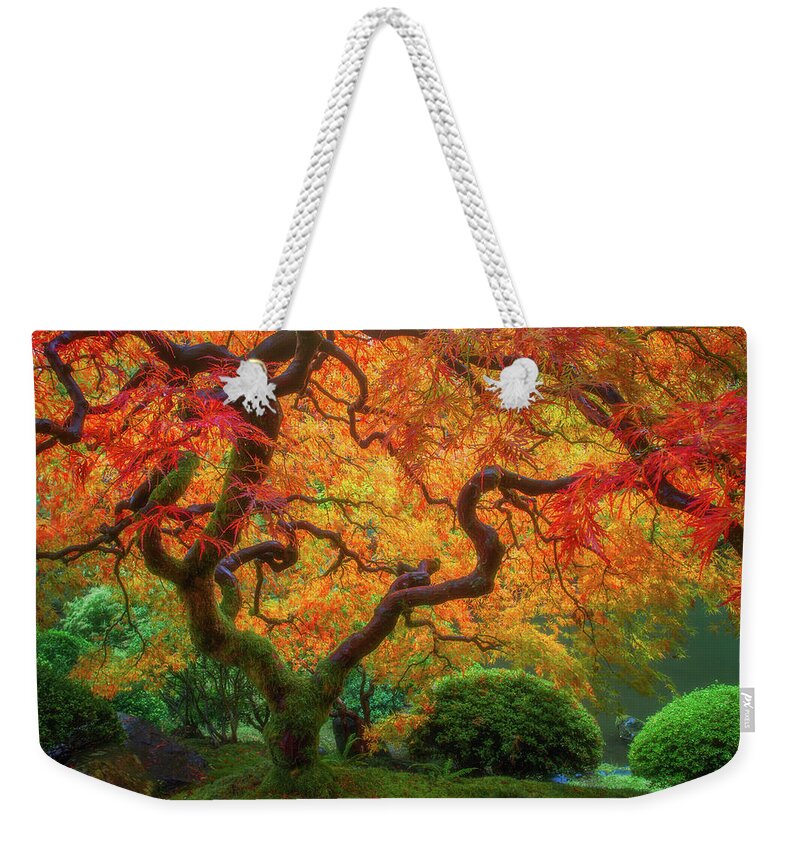 Fall Colors Weekender Tote Bag featuring the photograph Twisted Autumn by Darren White