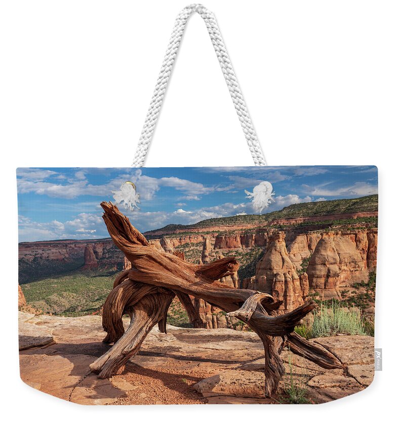 Air Weekender Tote Bag featuring the photograph Twisted Dead treee on top of a mesa in Colorado National Monumen by Kyle Lee