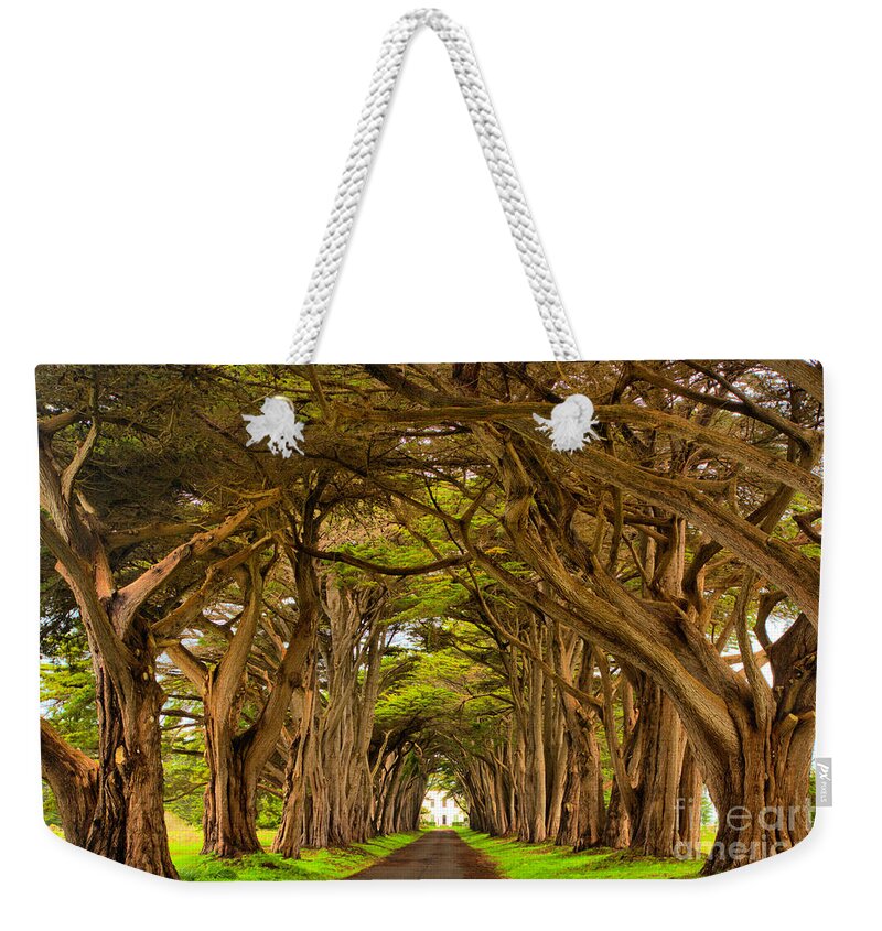 Point Reyes Weekender Tote Bag featuring the photograph Twisted Point Reyes Cypress Tunnel by Adam Jewell