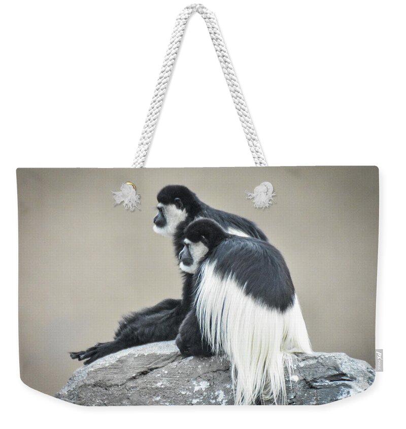 Colobus Weekender Tote Bag featuring the photograph Two colobus monkies by Ed Stokes
