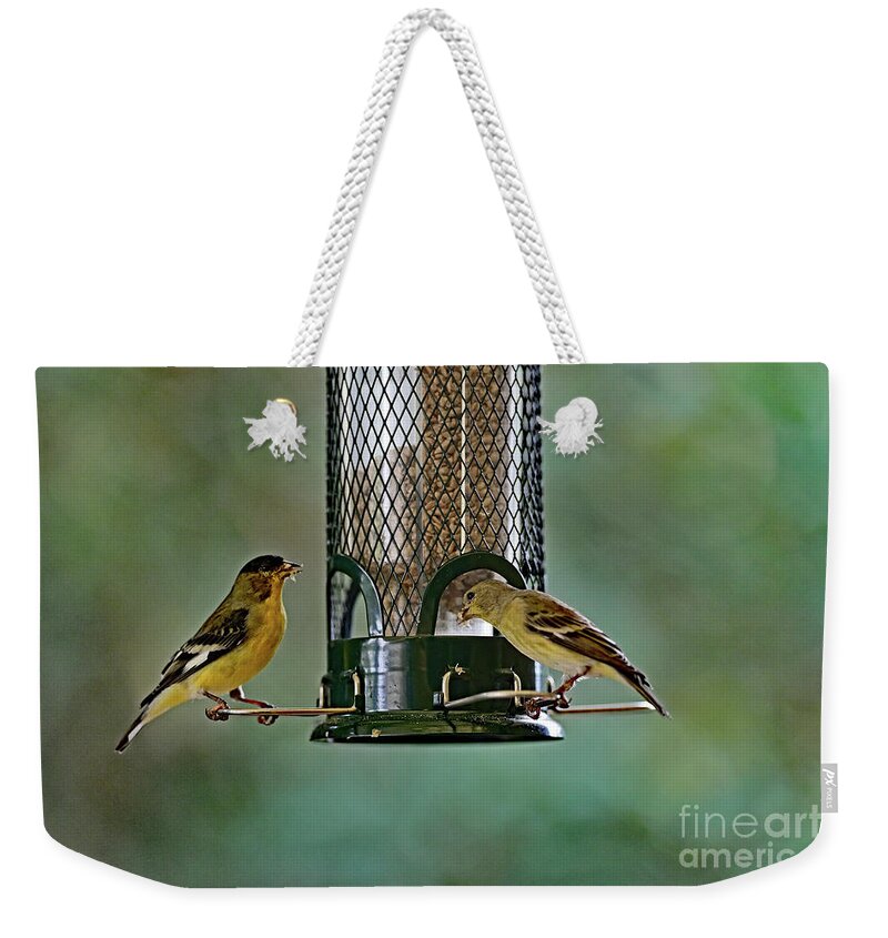 Lesser Goldfinch Weekender Tote Bag featuring the photograph Two Lesser Goldfinch at Feeder by Amazing Action Photo Video