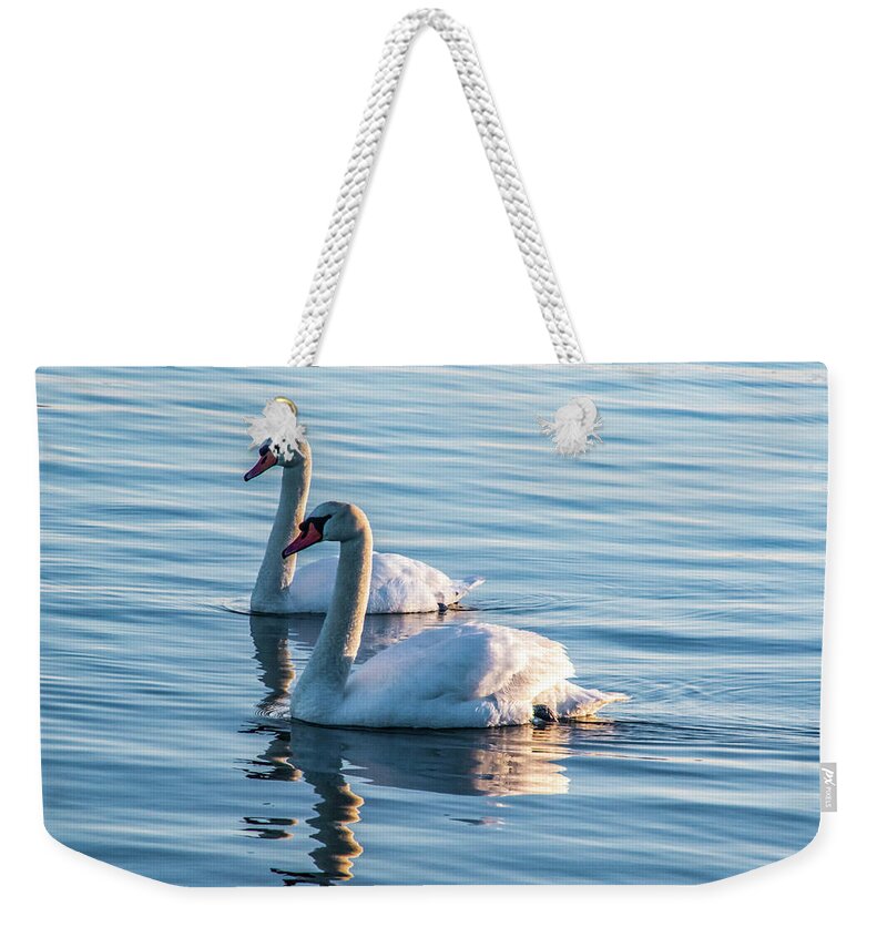 Swan Weekender Tote Bag featuring the photograph Two Of A Kind by Cathy Kovarik