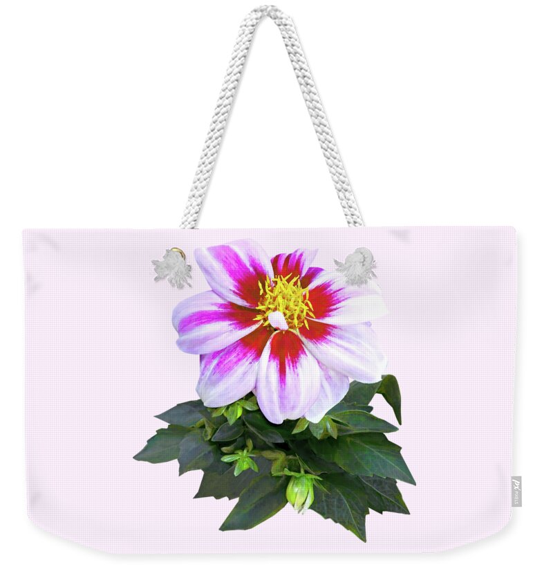 Dahlia Weekender Tote Bag featuring the photograph Two-Toned Pink Dahlia by Susan Savad