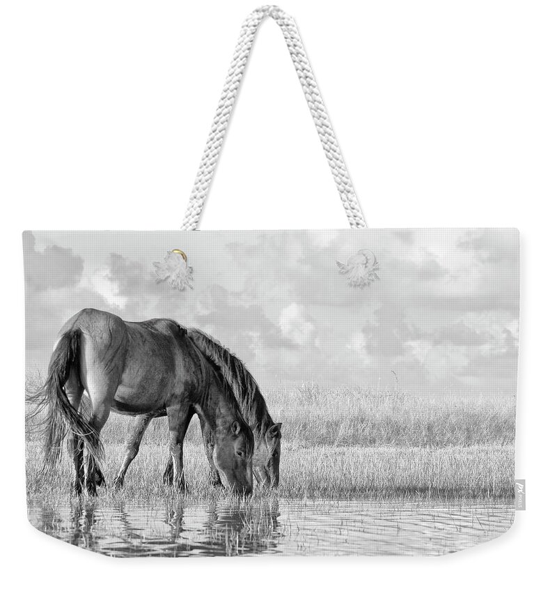 Wild Horses Of The Outer Banks Weekender Tote Bag featuring the photograph Two Wild Horses of the Outer Banks by Bob Decker