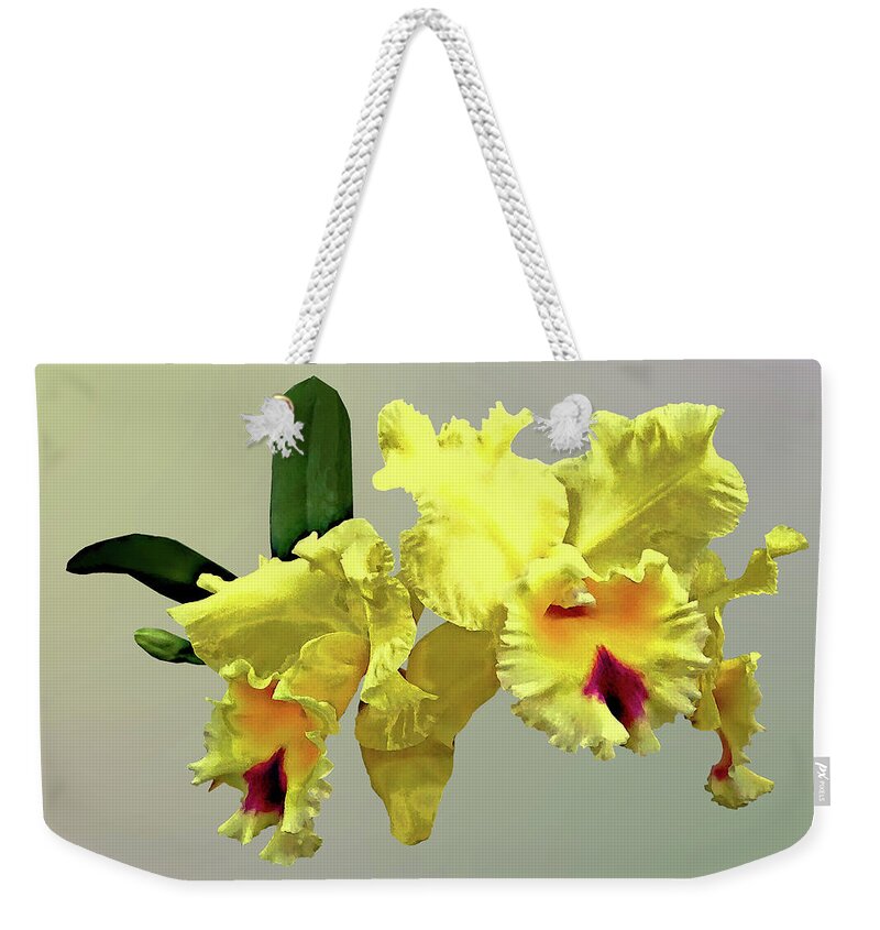 Orchid Weekender Tote Bag featuring the photograph Two Yellow Cattleya Orchids by Susan Savad