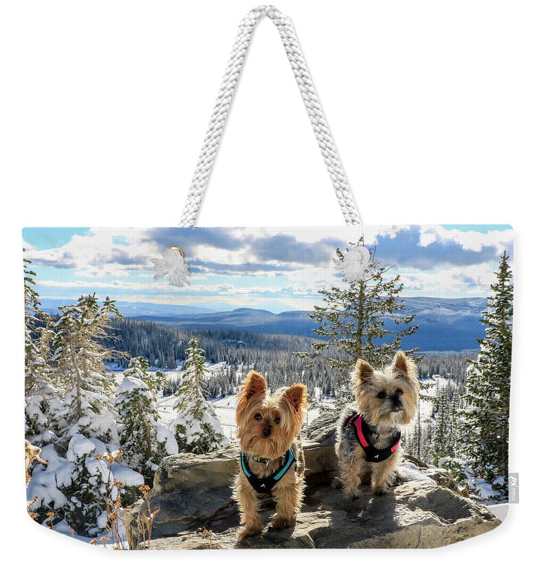 Aspens Weekender Tote Bag featuring the photograph Two Yorkies with a Snowy View by Dawn Richards