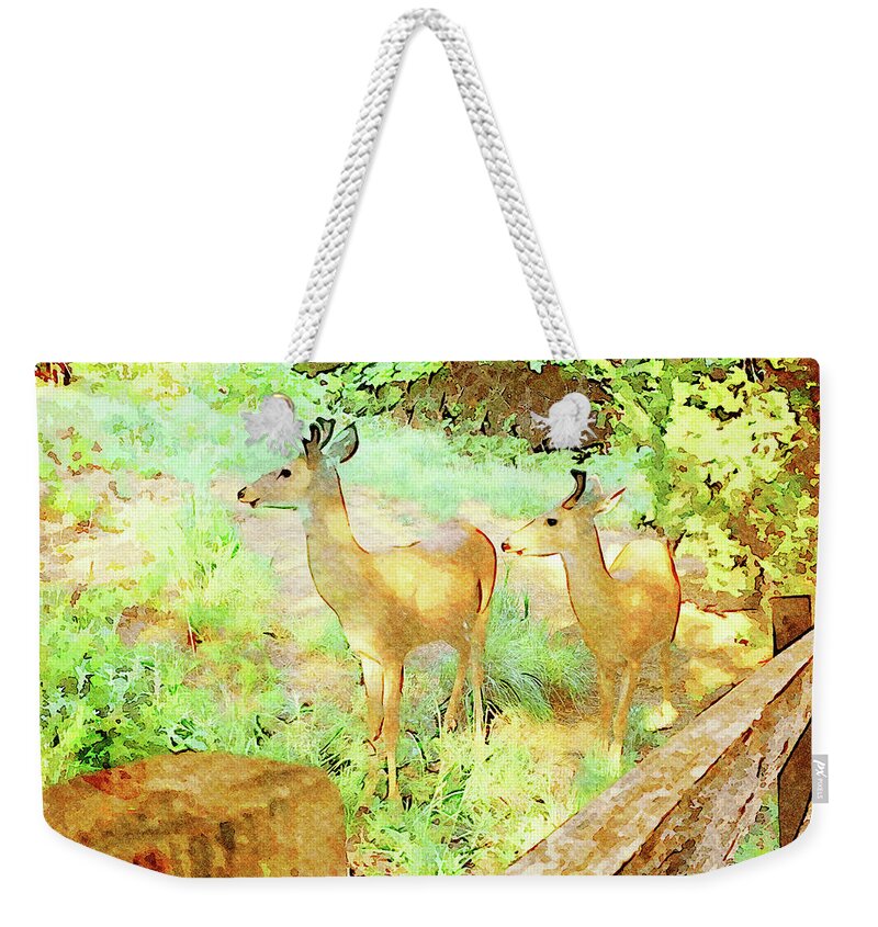 Animal Weekender Tote Bag featuring the mixed media Two Young Bucks in Velvet by Shelli Fitzpatrick