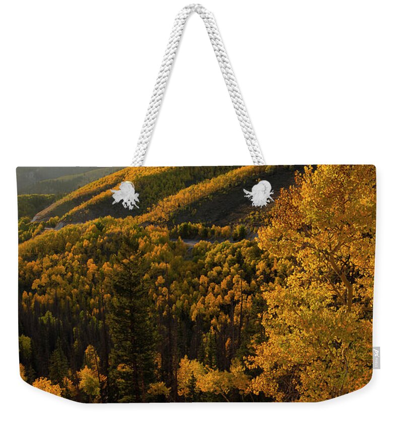 Colorado Weekender Tote Bag featuring the photograph Uncompahgre Autumn Vertical by Aaron Spong