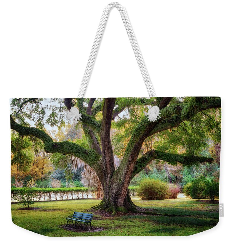 Natchez Weekender Tote Bag featuring the photograph Under the Live Oak Tree by Susan Rissi Tregoning