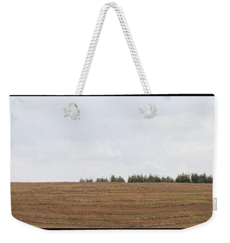Landscape Weekender Tote Bag featuring the photograph Under the Tuscan Sun by WonderlustPictures By Tommaso Boddi