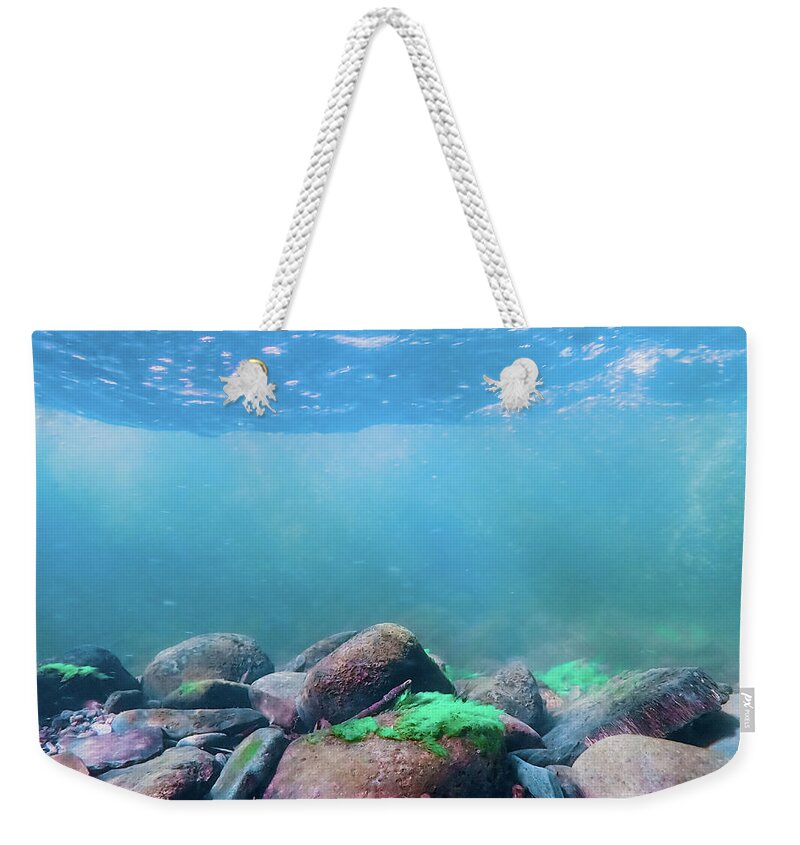 Sea Weekender Tote Bag featuring the photograph Underwater Scene - Upper Delaware River 6 by Amelia Pearn