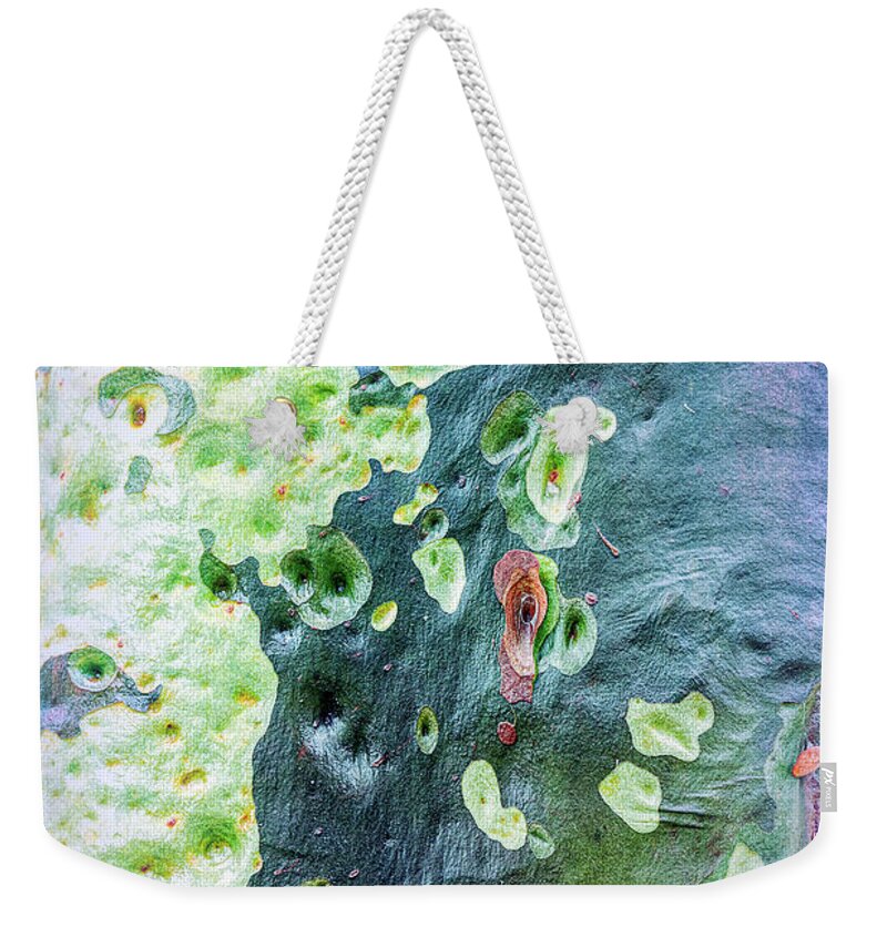Abstract Weekender Tote Bag featuring the photograph Up a Gum Tree 4 by Elaine Teague