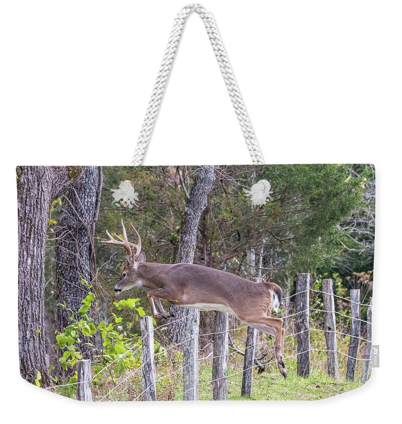  Weekender Tote Bag featuring the photograph Up and Over by Jim Miller