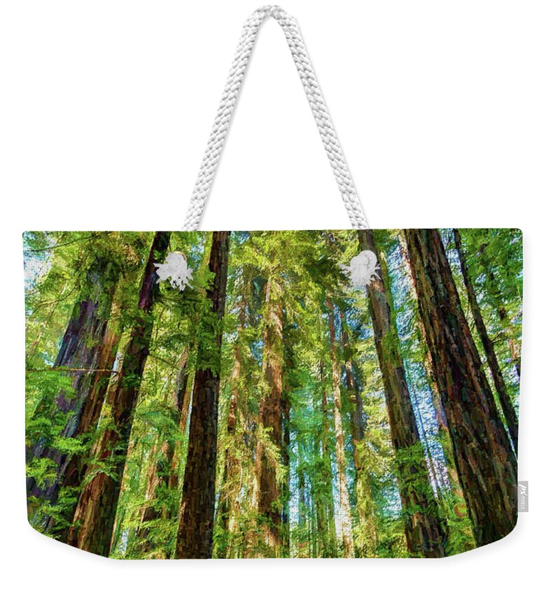 California Weekender Tote Bag featuring the photograph Up Into the California Redwoods ap 120 by Dan Carmichael