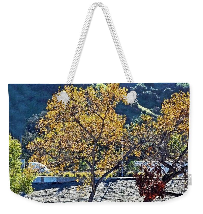 Trees Weekender Tote Bag featuring the photograph Urban Wilderness by Andrew Lawrence