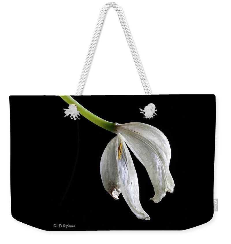Alexander Weekender Tote Bag featuring the photograph Used to be by Alexander Fedin