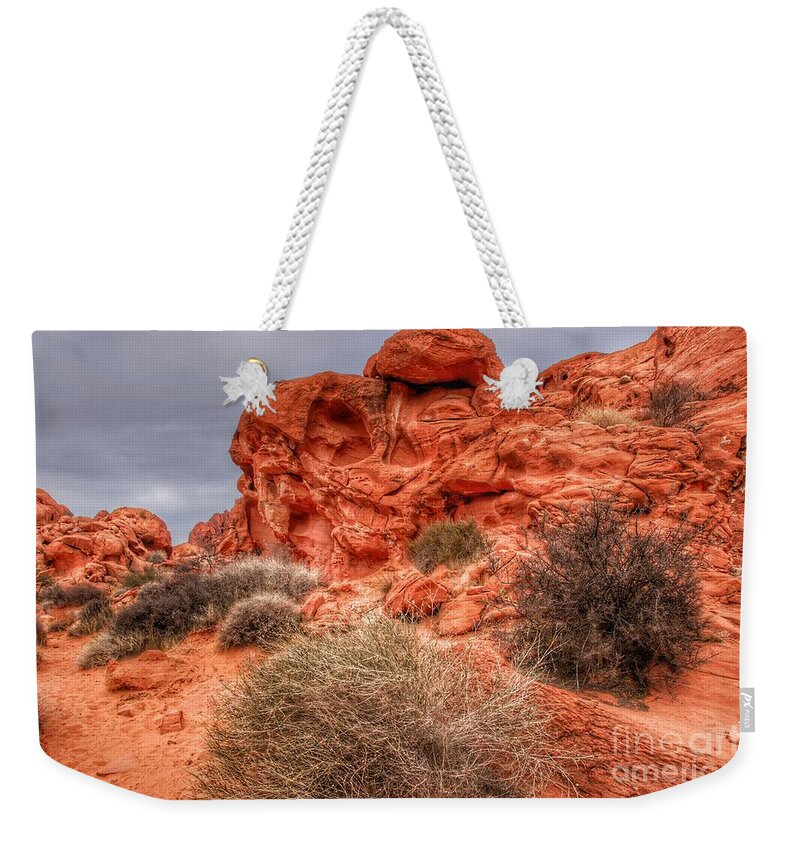 Weekender Tote Bag featuring the photograph Valley of Fire Earthscapes 3 by Rodney Lee Williams