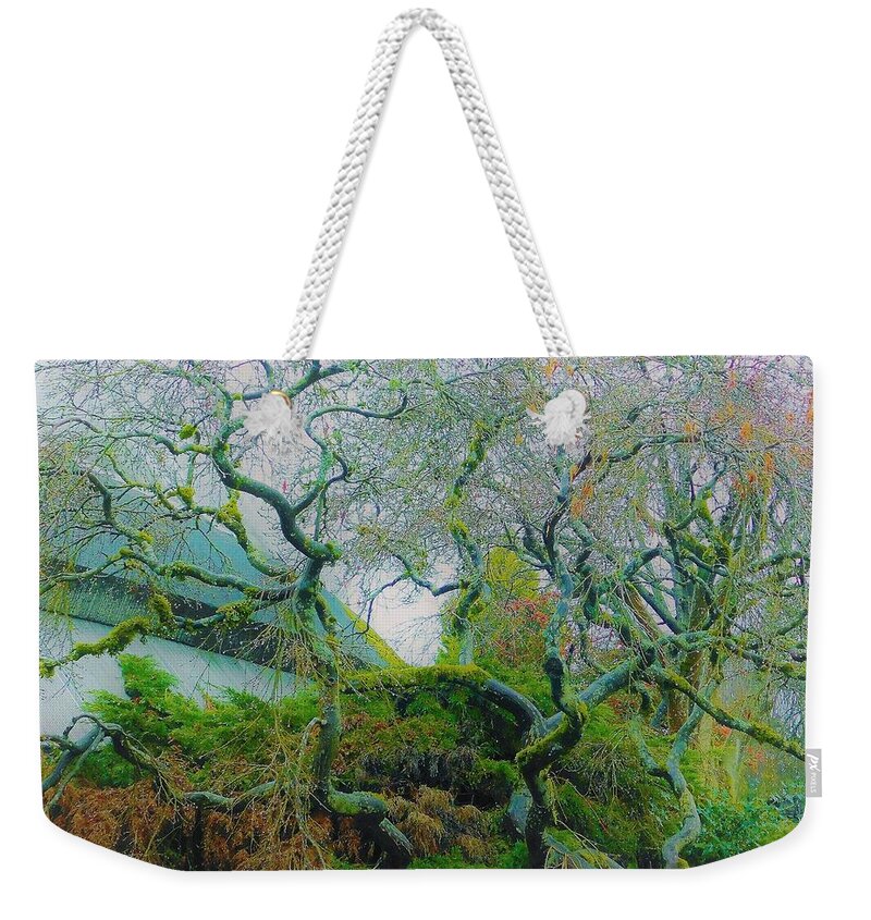 - Vancouver Bc Tree 3 Weekender Tote Bag featuring the photograph - Vancouver BC Tree 3 by THERESA Nye