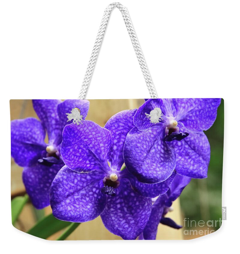 China Weekender Tote Bag featuring the photograph Vanda Orchid II by Tanya Owens