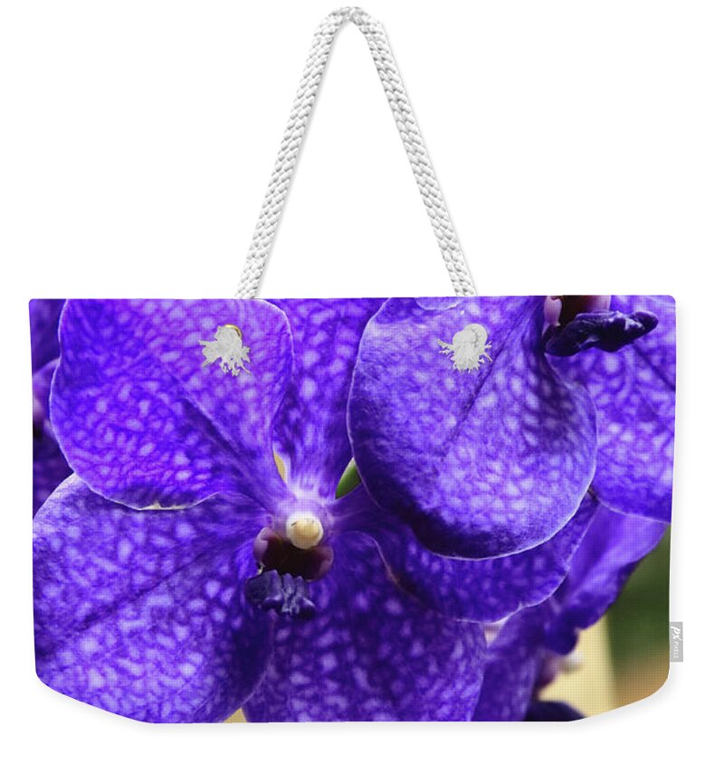 China Weekender Tote Bag featuring the photograph Vanda Orchid Portrait II by Tanya Owens