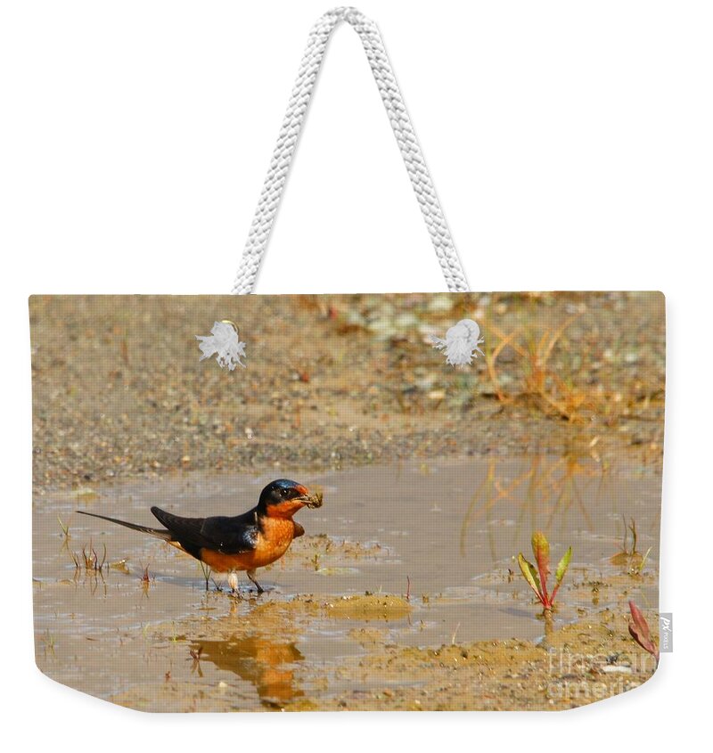 Varied Weekender Tote Bag featuring the photograph Varied Thrush by Steve Speights