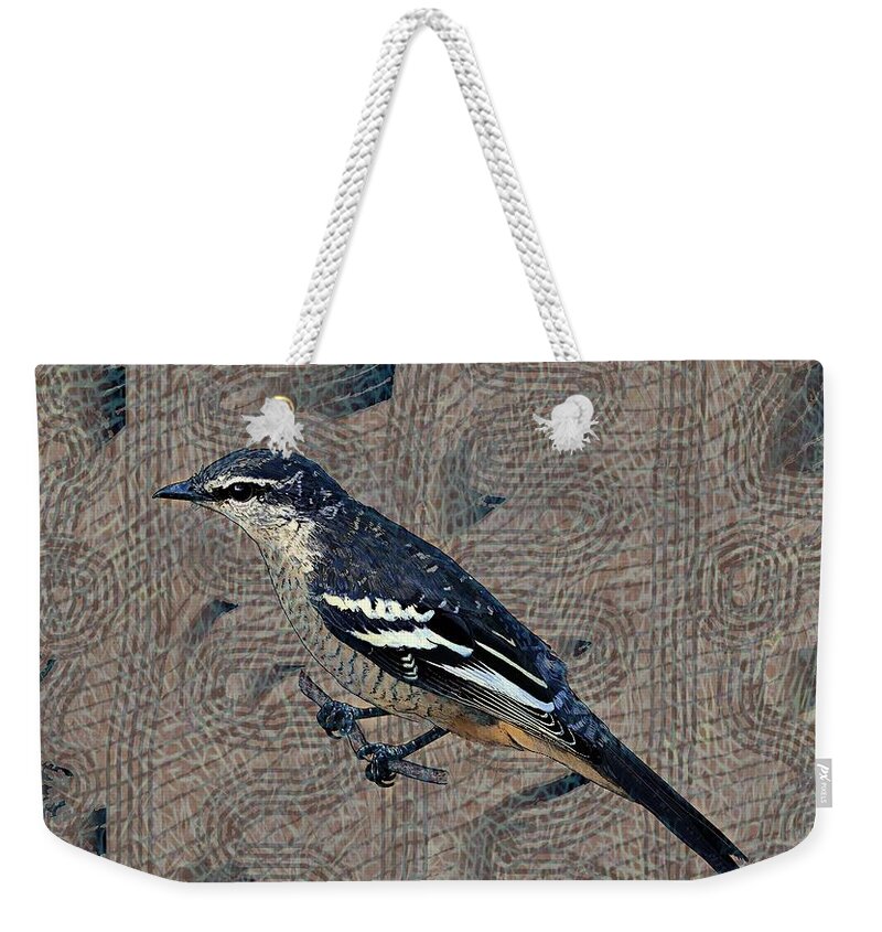 Portrait Weekender Tote Bag featuring the drawing Varied Triller Bird Illustration by Joan Stratton