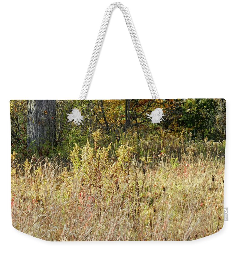Long Grasses Weekender Tote Bag featuring the photograph Various Long Grasses with a Background of Trees, Autumn, Saratoga County, NY by Lise Winne