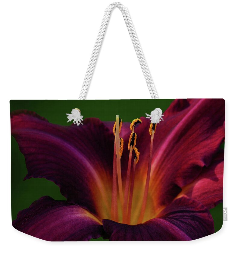 Deep Red Weekender Tote Bag featuring the photograph Velvet Lily by Kathi Mirto