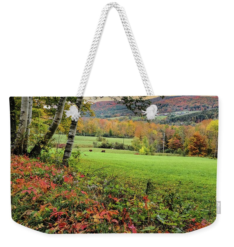 1902 Maple Grove Farm Weekender Tote Bag featuring the photograph Vermont Morning on the Farm by Jeff Folger