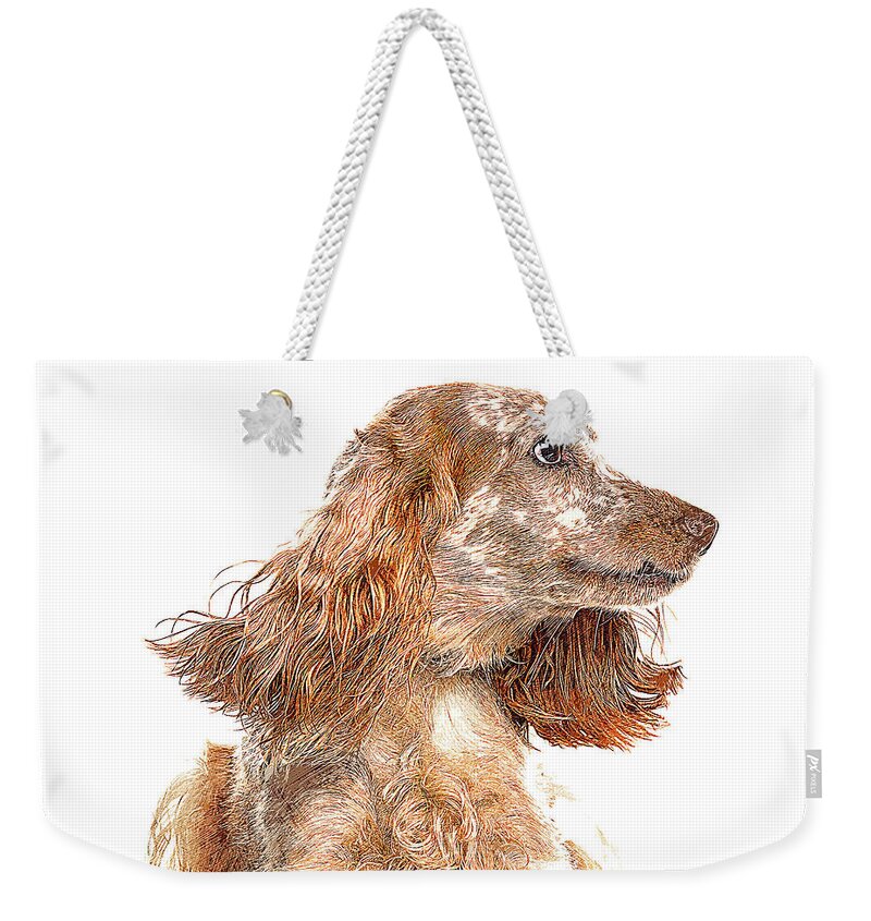 English Weekender Tote Bag featuring the painting Very Smart Good Looker, English Cocker Spaniel Dog by Custom Pet Portrait Art Studio
