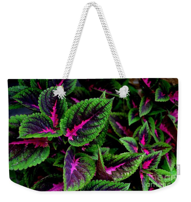 Botanical Photography Weekender Tote Bag featuring the photograph Vibrant Leaves by Expressions By Stephanie