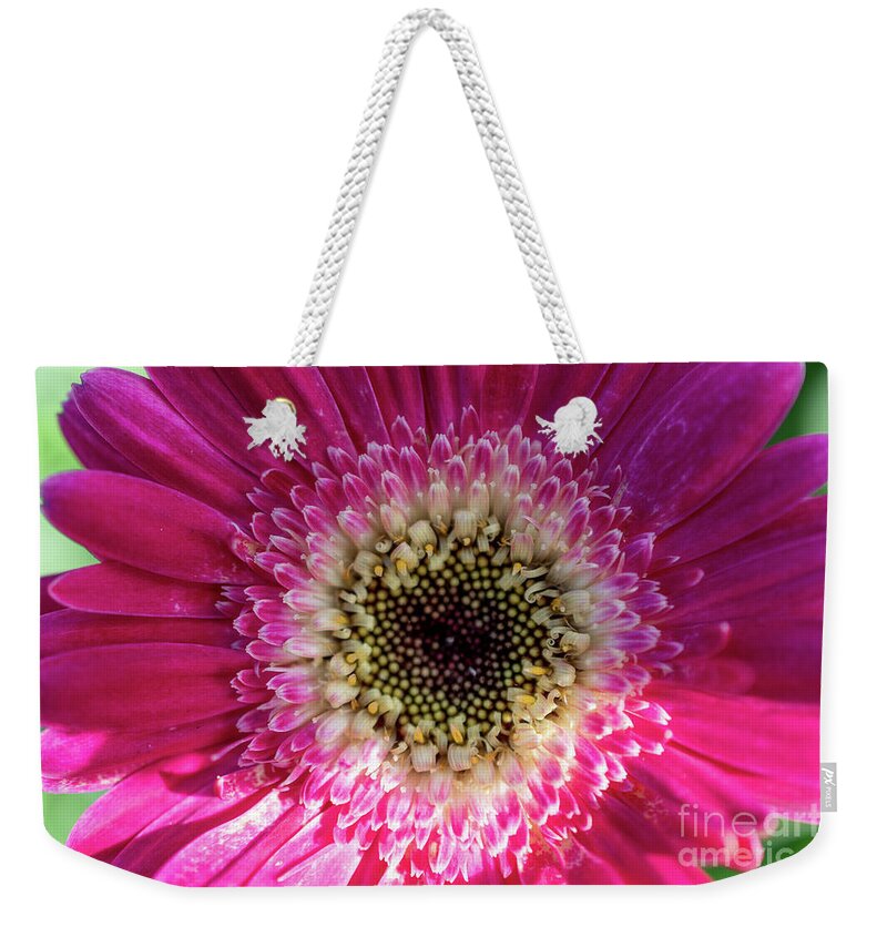 Pink Weekender Tote Bag featuring the photograph Vibrant Pink Flower by Abigail Diane Photography