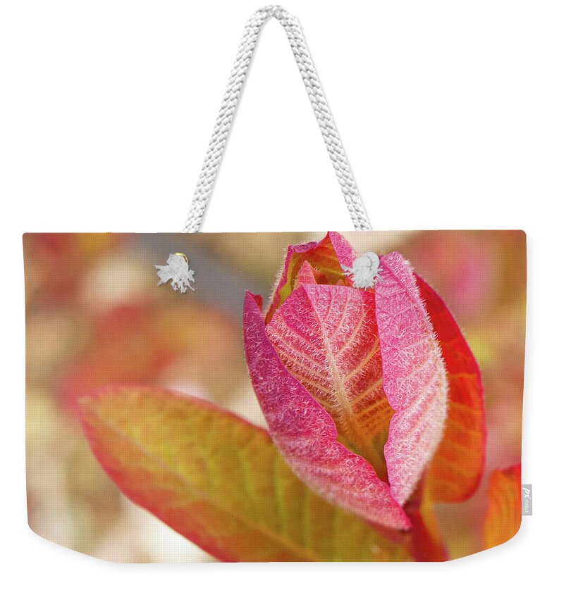 Garden Weekender Tote Bag featuring the photograph Vibrant Red and Green Plant by Auden Johnson