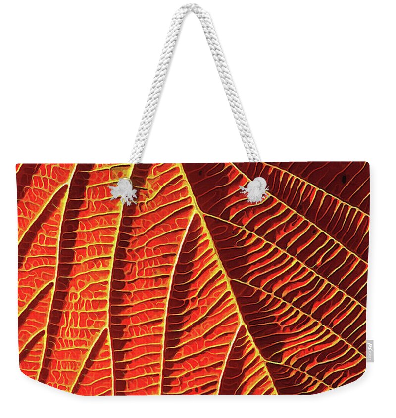 Nature Weekender Tote Bag featuring the digital art Vibrant Viburnum by ABeautifulSky Photography by Bill Caldwell