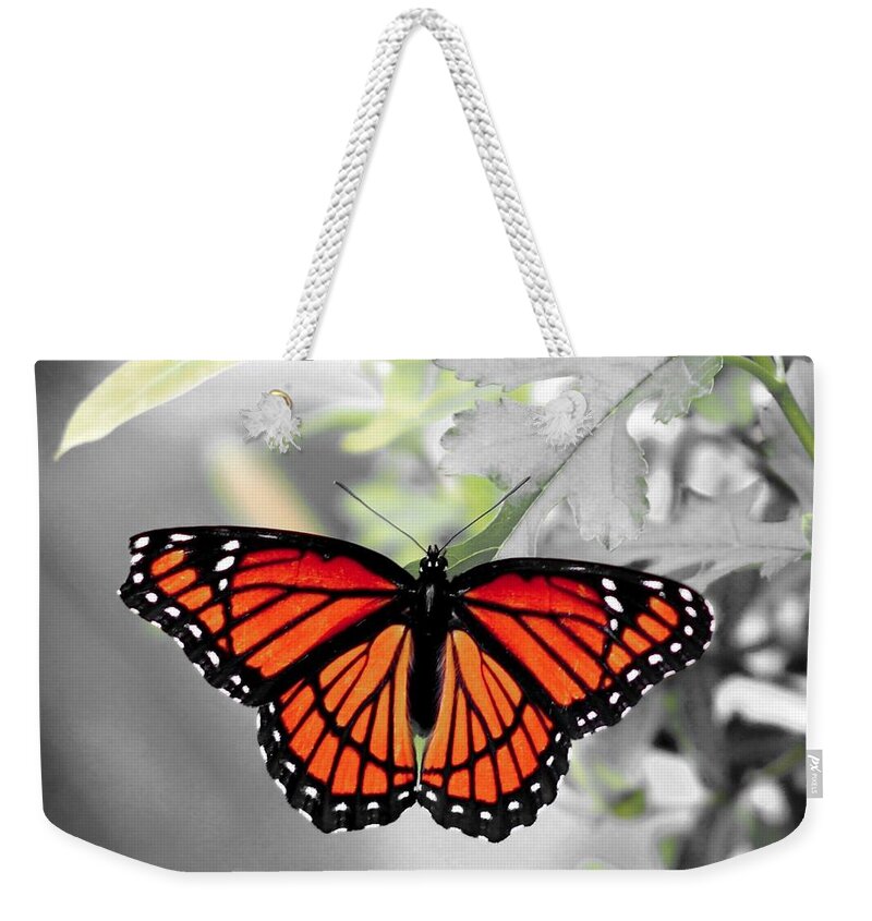 Viceroy Weekender Tote Bag featuring the photograph Viceroy Butterfly by Christopher Reed