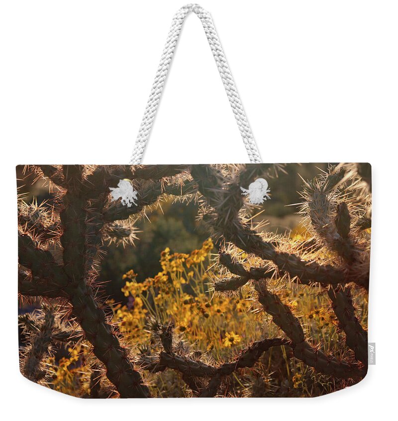 Hiking Weekender Tote Bag featuring the photograph View Through Cactus by David T Wilkinson