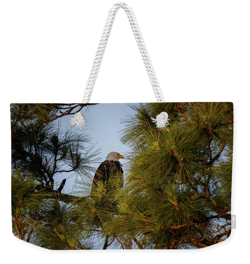 Bird Weekender Tote Bag featuring the photograph Viewing Sunset by Les Greenwood