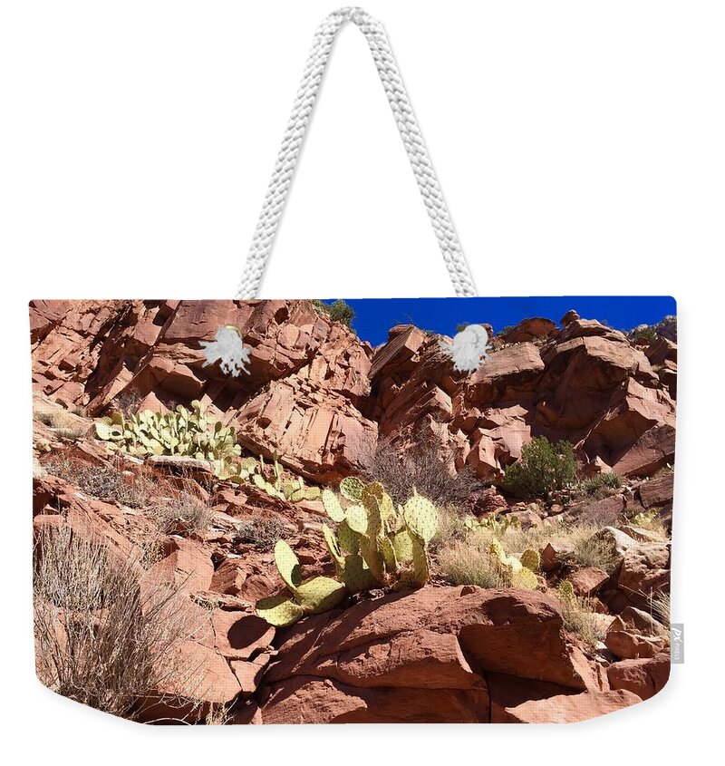 Arizona Cactus Weekender Tote Bags