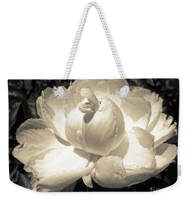 Peony Weekender Tote Bag featuring the photograph Vintage Peony by Onedayoneimage Photography