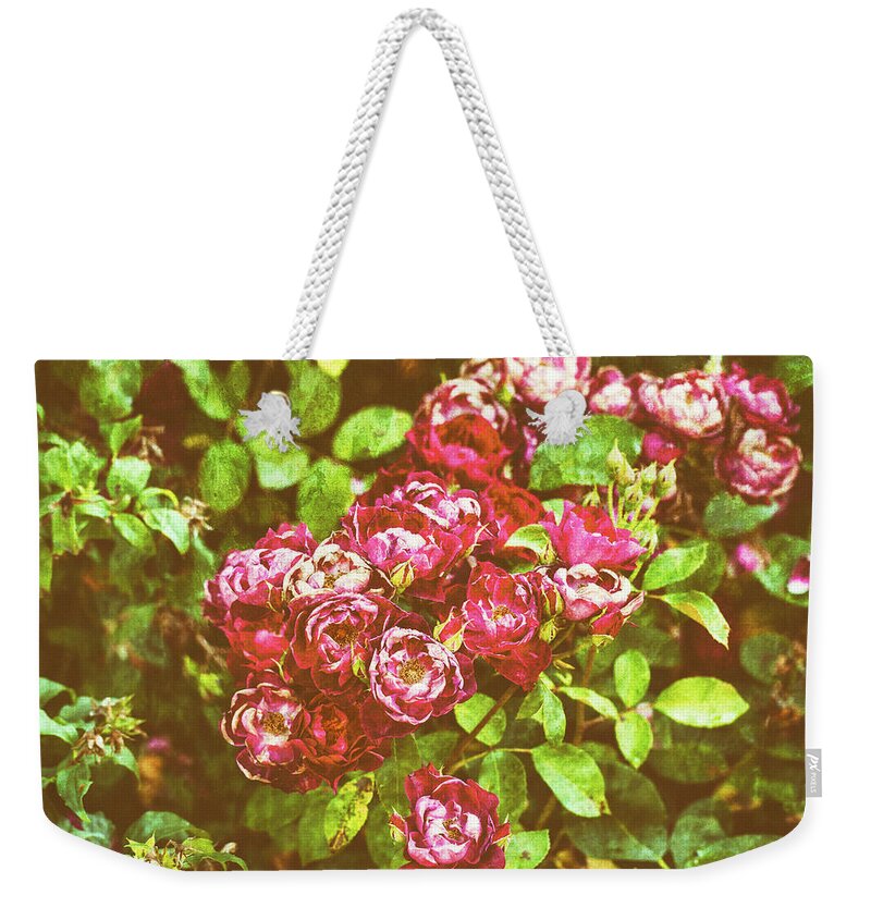 Roses Weekender Tote Bag featuring the photograph Vintage Roses #1 by Tanya C Smith