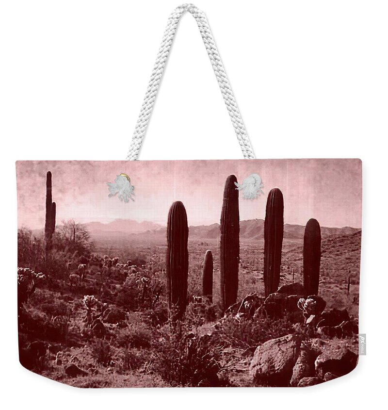 Western Landscape Weekender Tote Bag featuring the photograph Vintage View of Table Top Mountain by Judy Kennedy