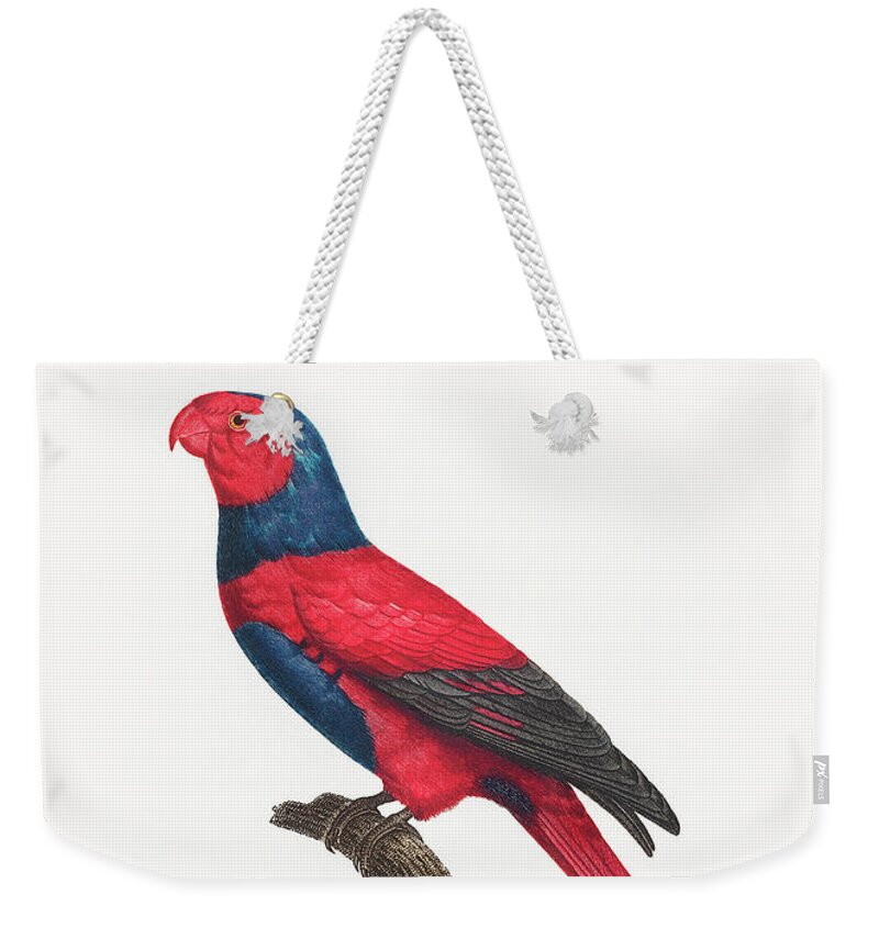Violet-necked Lory Weekender Tote Bag featuring the mixed media Violet Necked Lory by World Art Collective