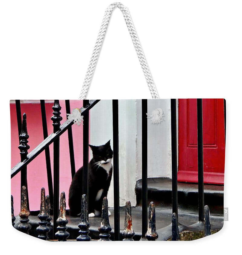 London Weekender Tote Bag featuring the photograph Waiting For Lucy by Ira Shander