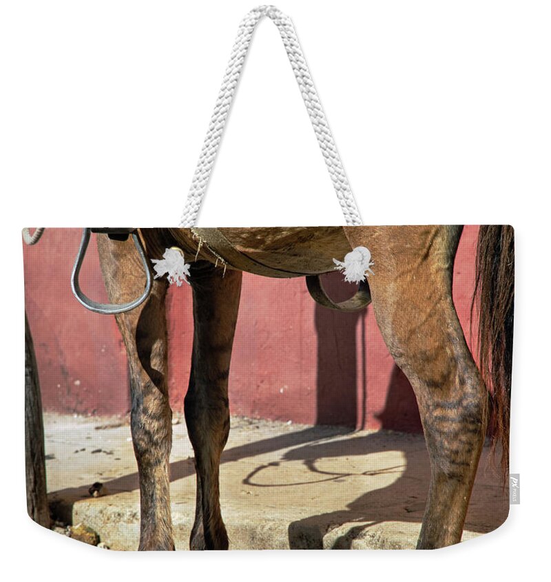 Horse Weekender Tote Bag featuring the photograph Waiting by M Kathleen Warren