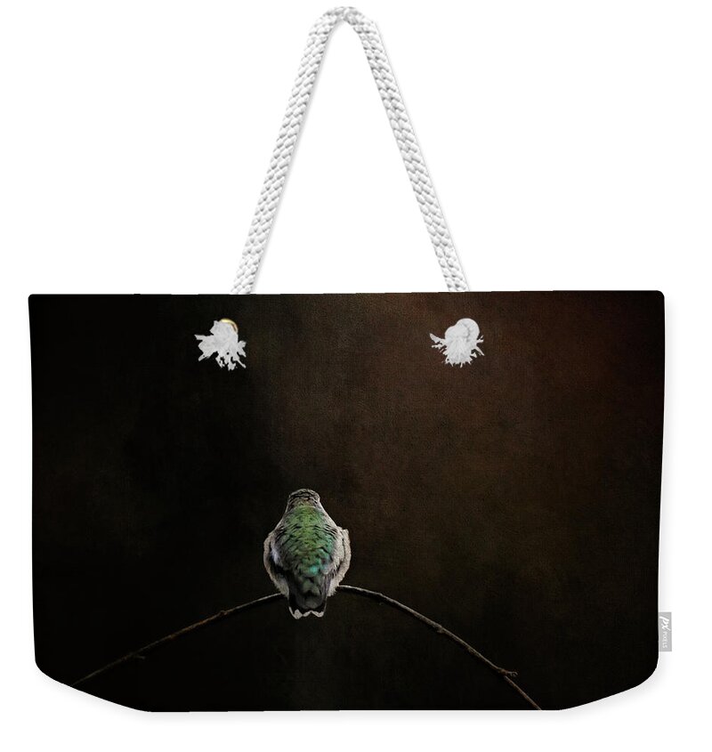 Hummingbird Weekender Tote Bag featuring the photograph Waiting On Daylight by Jai Johnson