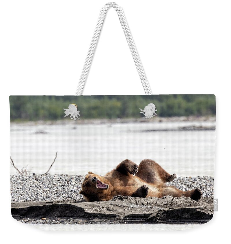 Alaska Weekender Tote Bag featuring the photograph Waking up on the Sandbar by Cheryl Strahl