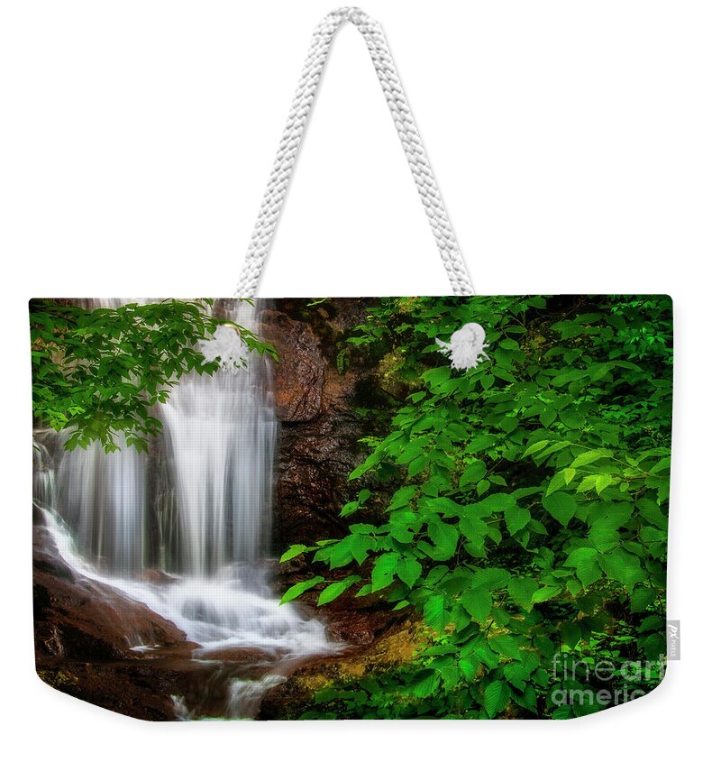 Waterfall Weekender Tote Bag featuring the photograph Walker Falls by Shelia Hunt